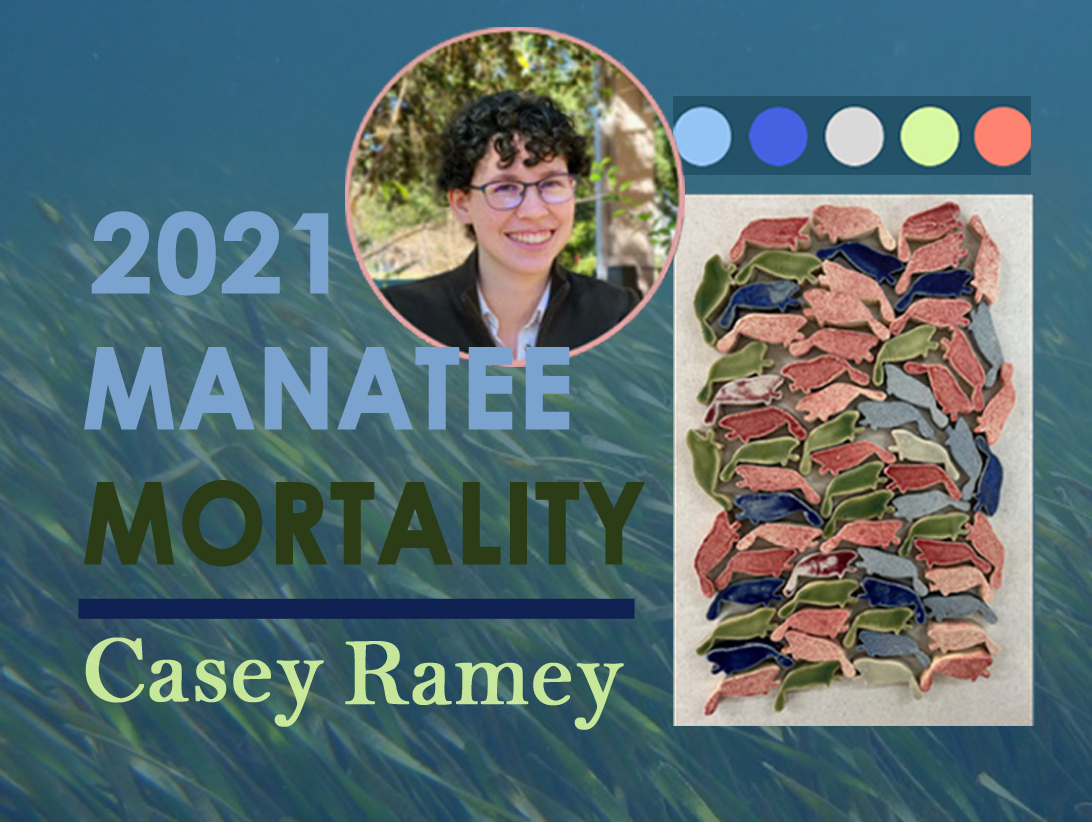 2021 Manatee Mortality exhibit